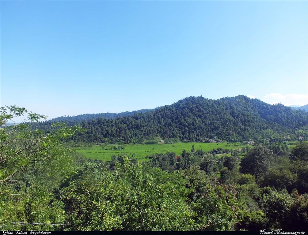 Siyahdaran Forest Park