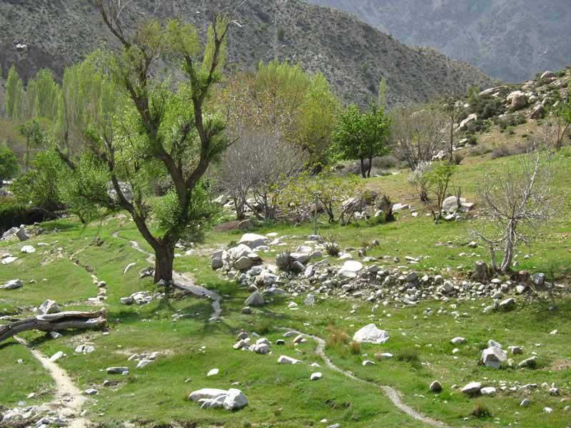 Dalfard District
