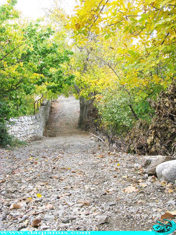 Dalfard District