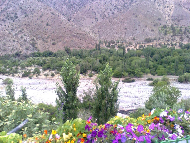 Dalfard District