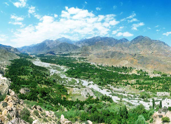 Dalfard District