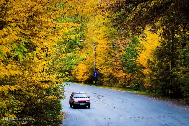 Alangdareh Forest park