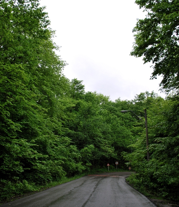 Alangdareh Forest park