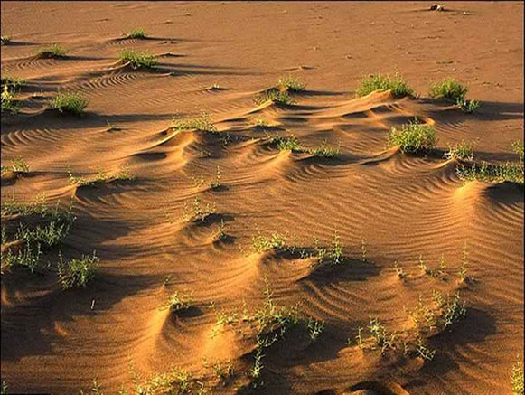 Qum Tapa the Desert of Azerbaijan