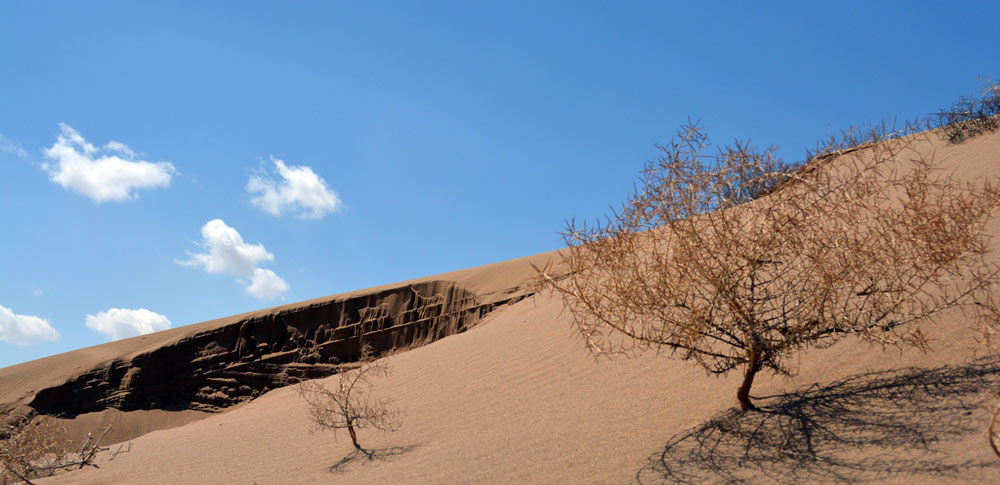 Qum Tapa the Desert of Azerbaijan