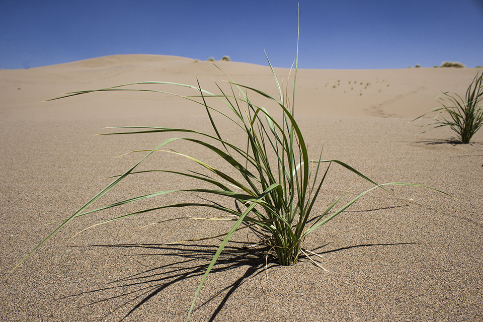 Qum Tapa the Desert of Azerbaijan