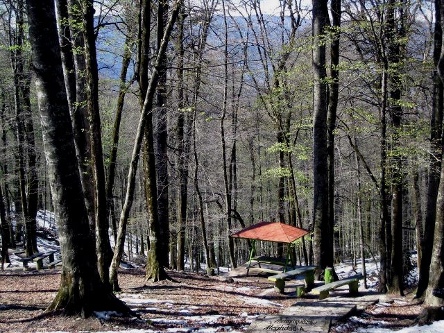 Namak Abrud Forest Park
