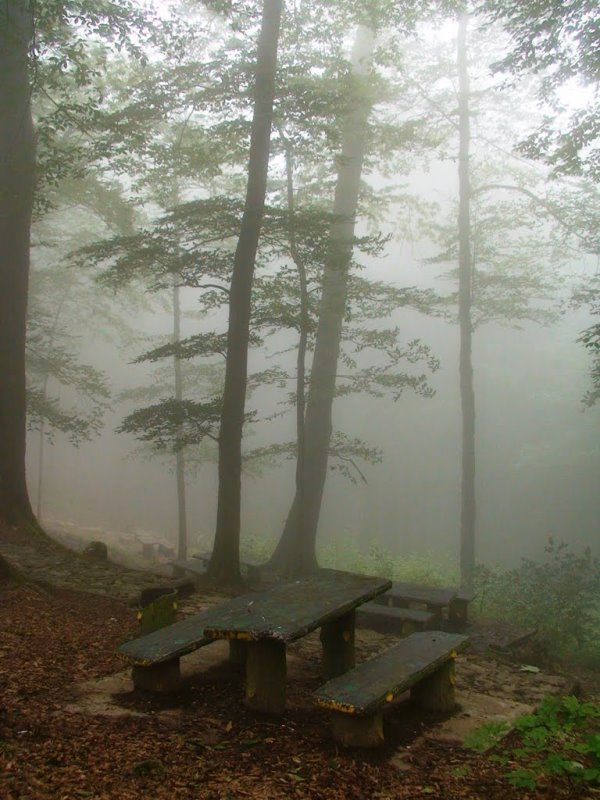 Namak Abrud Forest Park