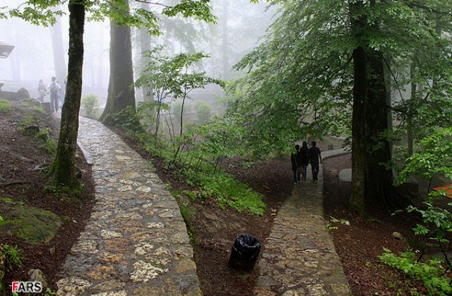 Namak Abrud Forest Park