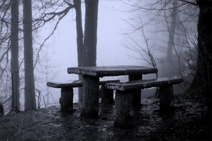 Namak Abrud Forest Park