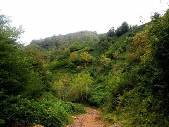Leyla Kuh Resort Area