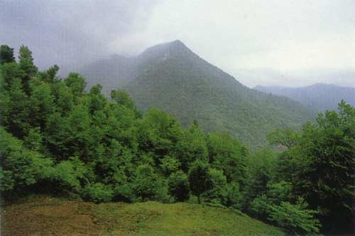 Leyla Kuh Resort Area