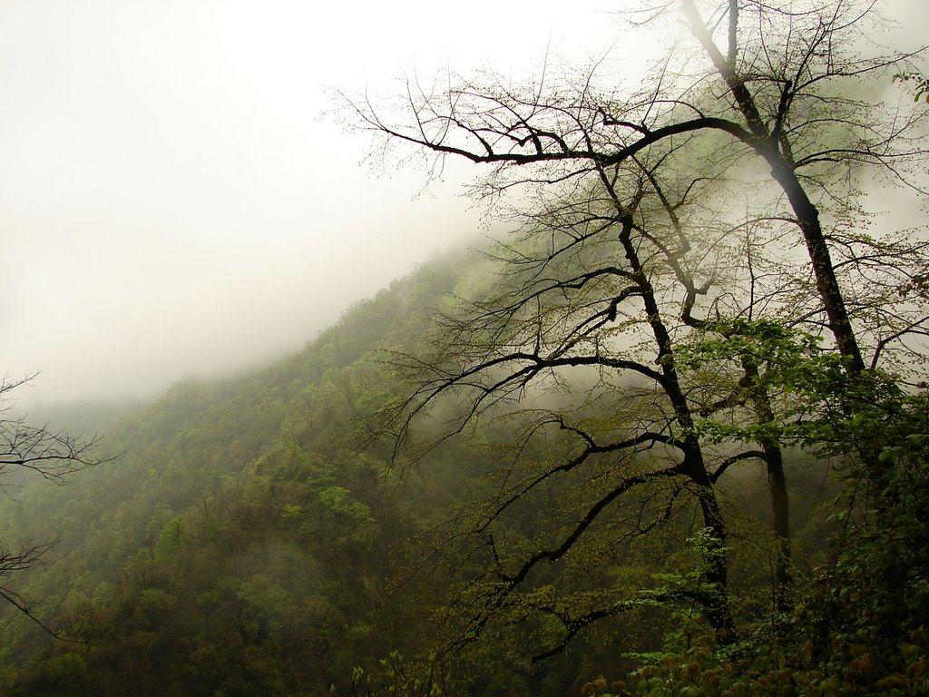 Elimalat Lake