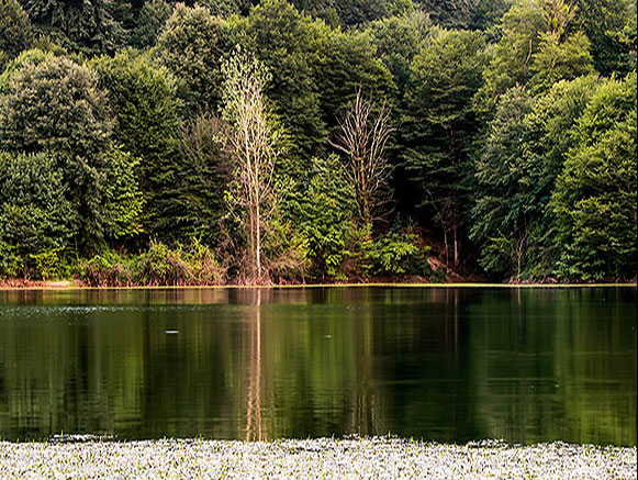 Elimalat Lake