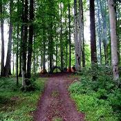 Lavij Forest and Hot Springs