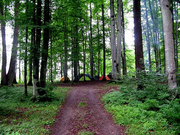 Lavij Forest and Hot Springs