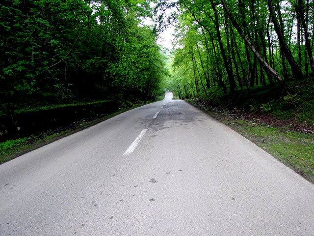 Lavij Forest and Hot Springs