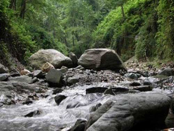 Kordkuy Forest Park