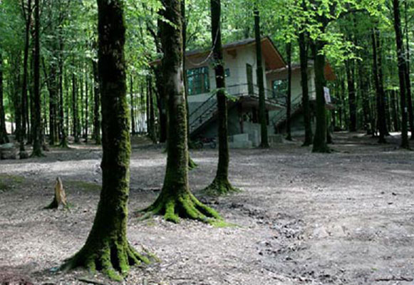 Kordkuy Forest Park