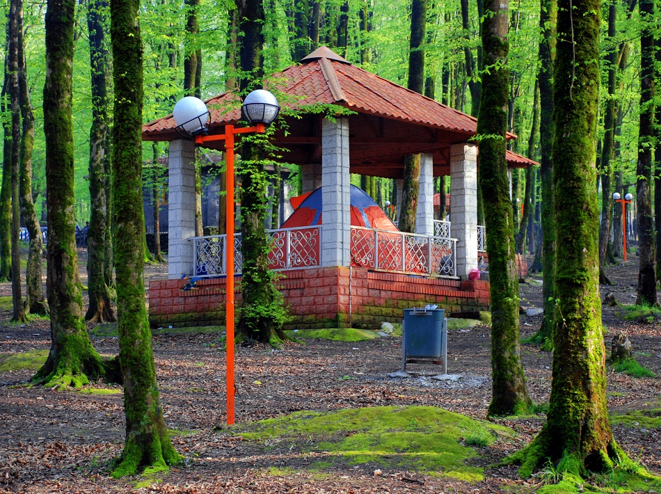 Kordkuy Forest Park