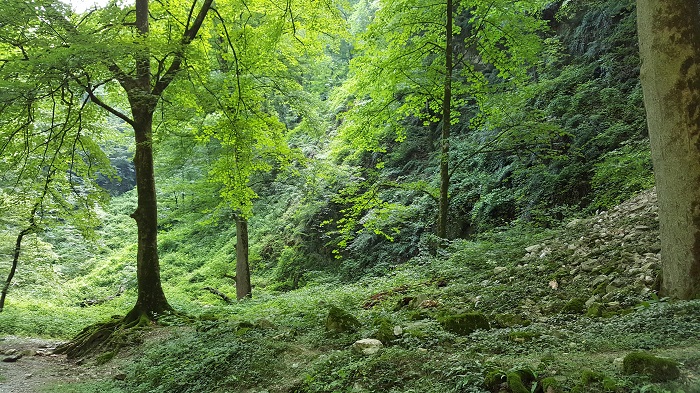 Barankouh Waterfall