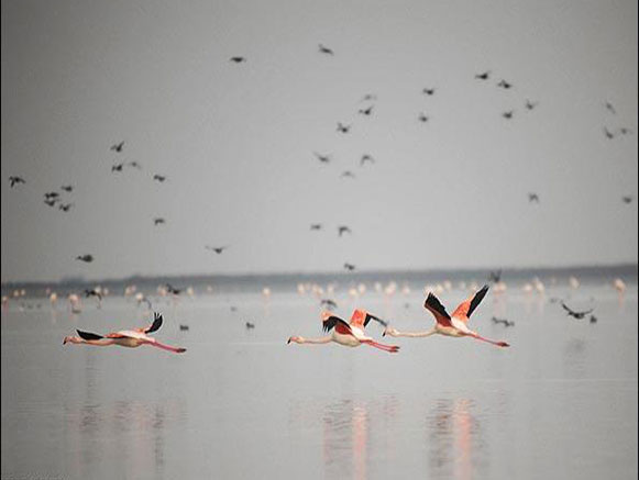 Gomishan International Lagoon