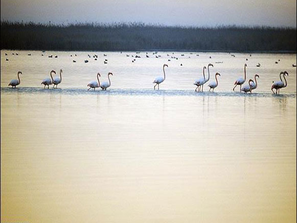 Gomishan International Lagoon