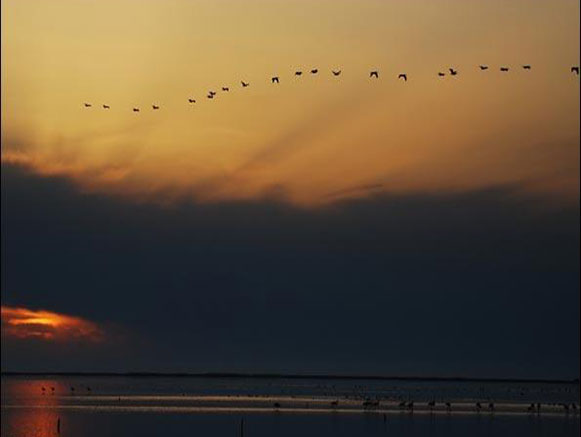 Gomishan International Lagoon