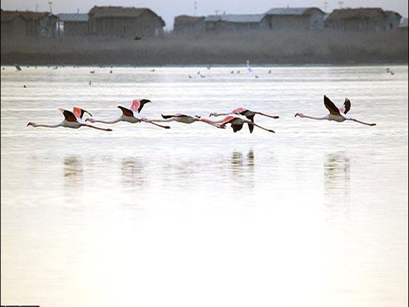 Gomishan International Lagoon