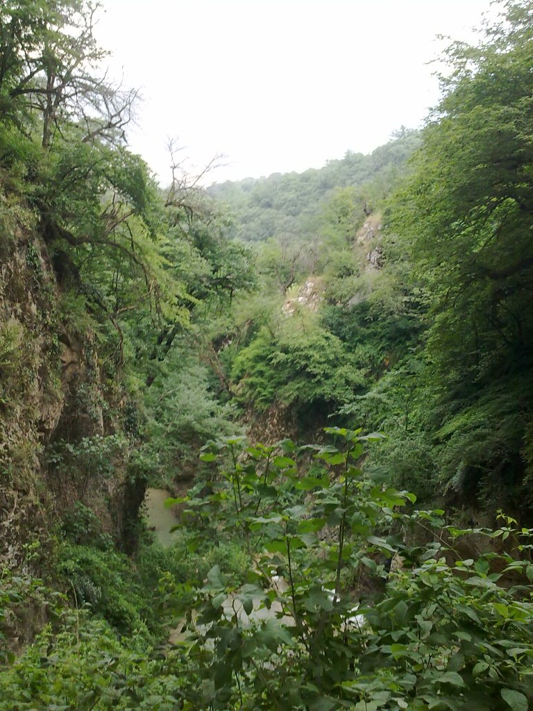 Lowe Protected Area