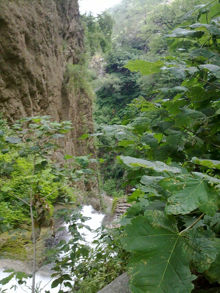 Lowe Protected Area