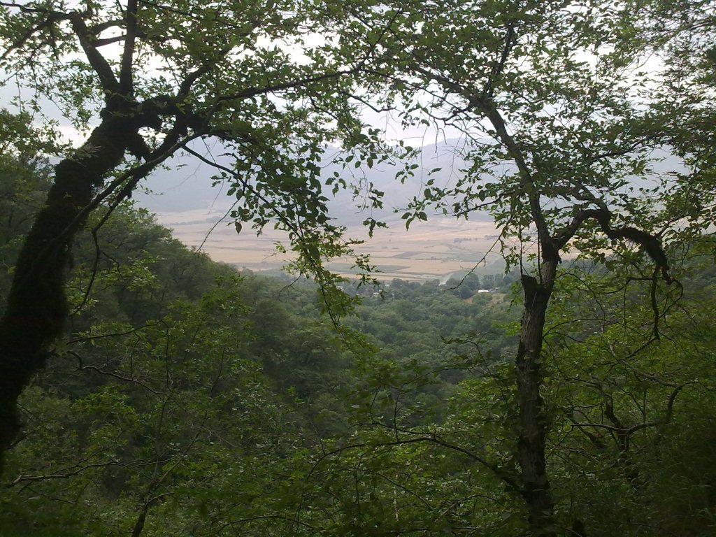Lowe Protected Area