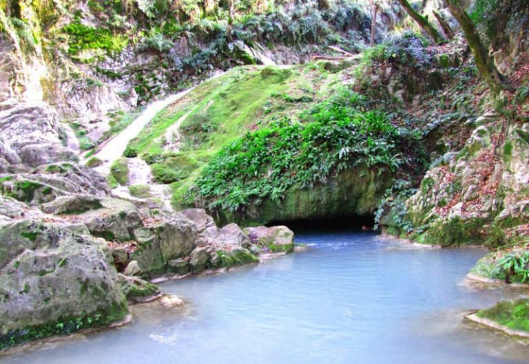 Lowe Protected Area