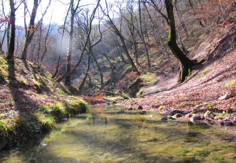 Lowe Protected Area