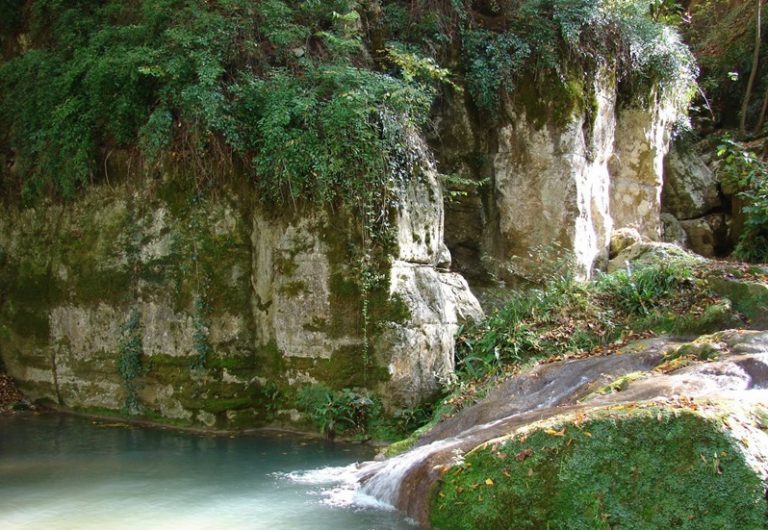 Lowe Protected Area