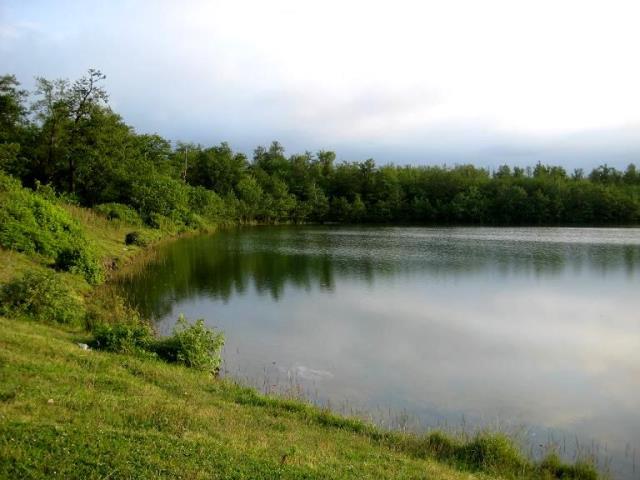 Nur Forest Park