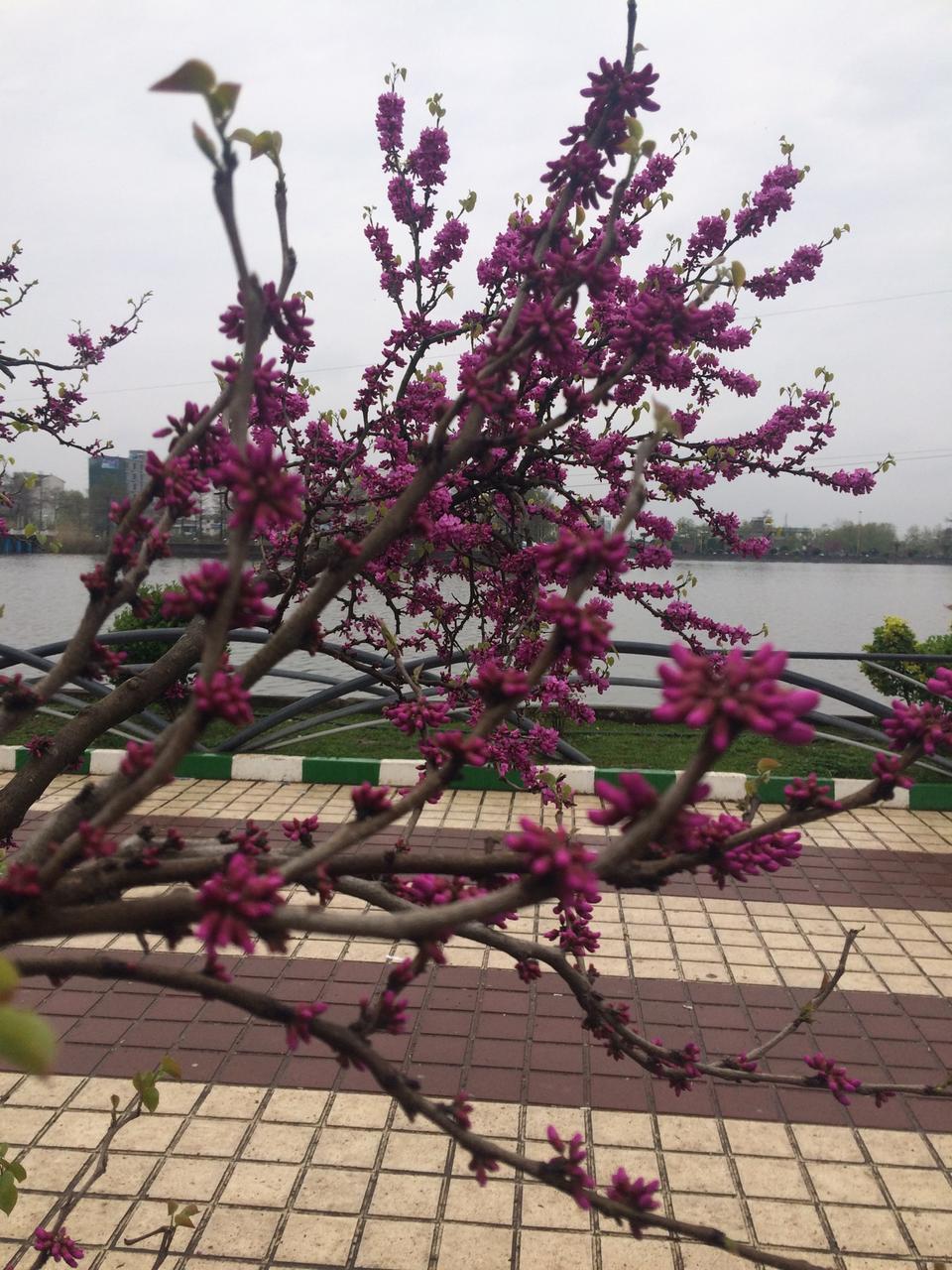 Satan-s Hill Resort (Sheytan Kuh)