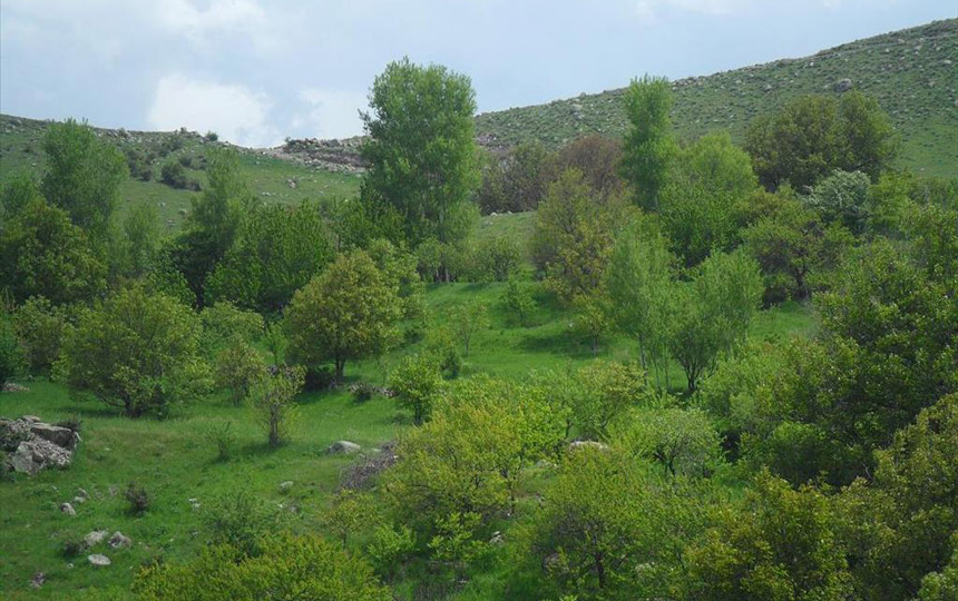 Onar Village and Ancient Graveyard
