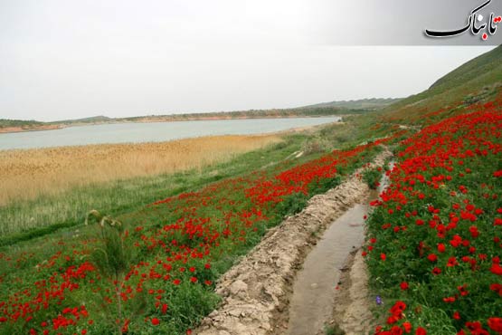 Bazangan Lake