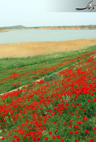 Bazangan Lake