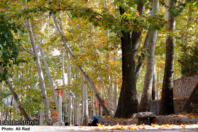 Baba Aman Promenade