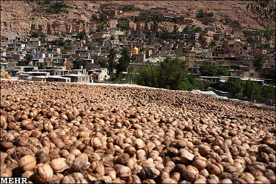 Esfidan Village (Espidan village)