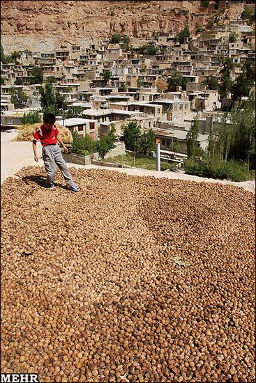 Esfidan Village (Espidan village)