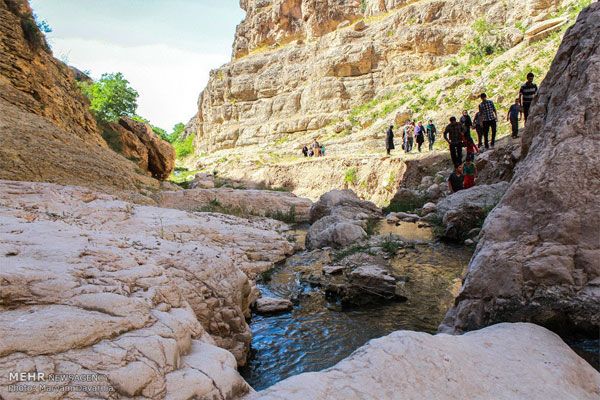 Hamid Waterfall