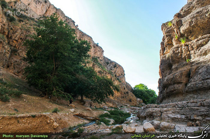 Hamid Waterfall