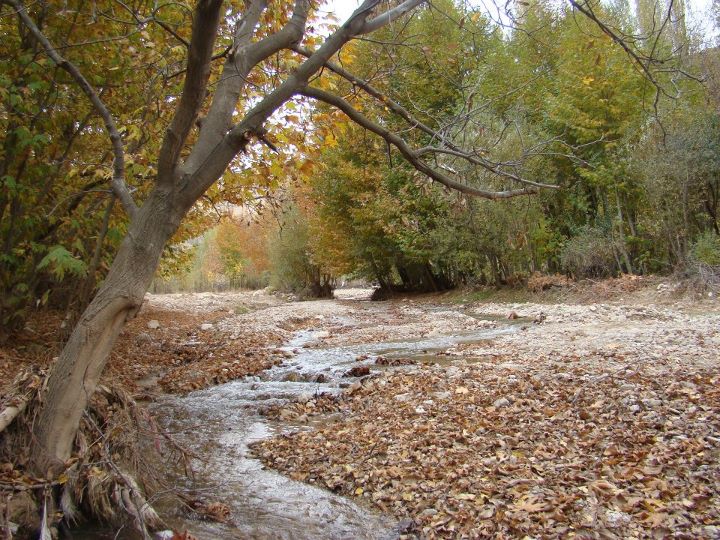Khosraviyeh