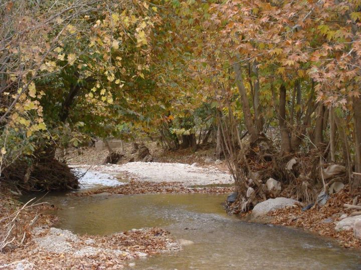Khosraviyeh
