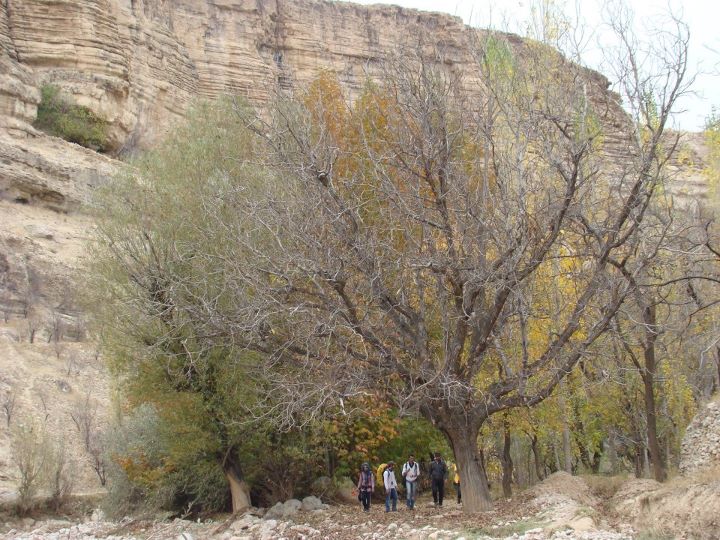 Khosraviyeh