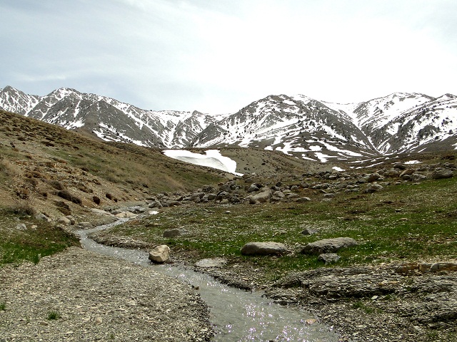 Kurmanji Nomads