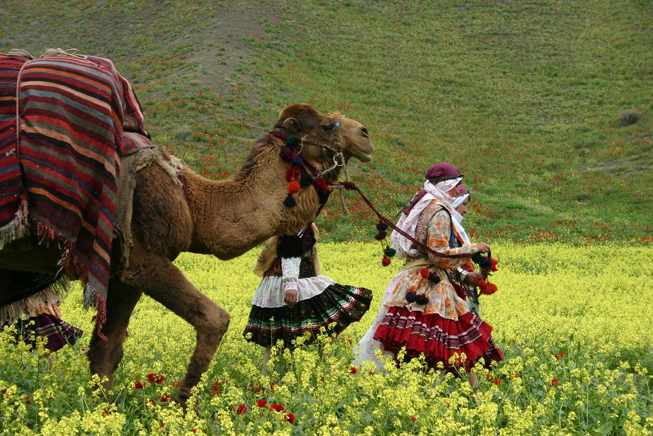 Kurmanji Nomads